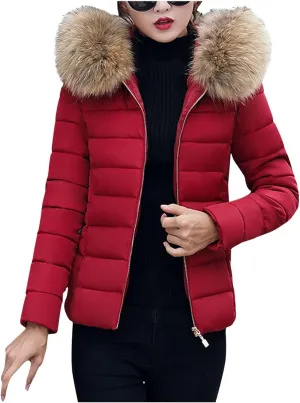 Stand Collar Long Sleeve Overcoat Slim Casual Thicker Fashion Women'S Coat Long Sleeve Zipper Short Down Coat De
